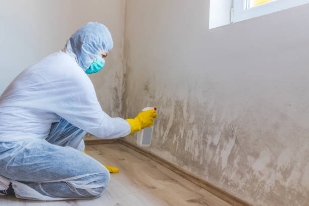 Licensed Mold Remediation service in Salem, OR - 24 Hour Mold Removal