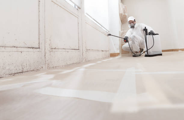24/7 Emergency Mold Remediation experts in Salem, OR
