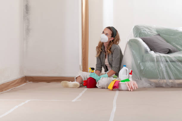 Reliable Mold Remediation contractor in Salem, OR by 24 Hour Mold Removal
